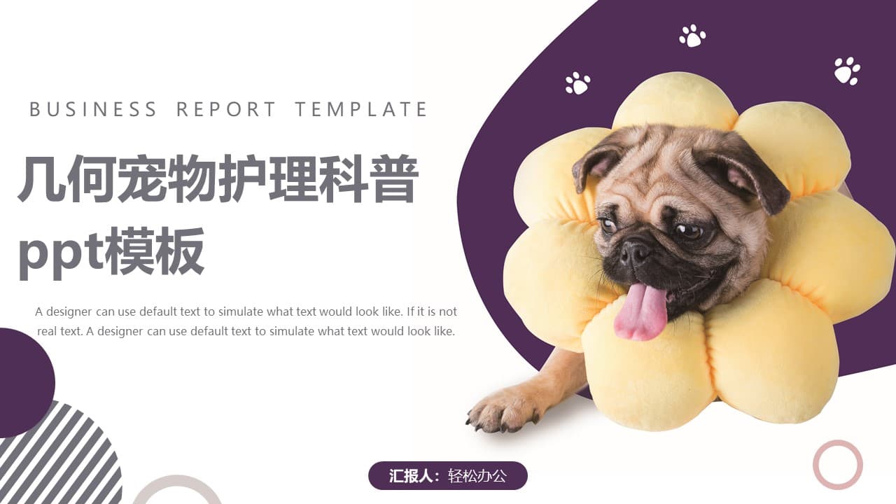 几何风宠物护理知识科普ppt模板