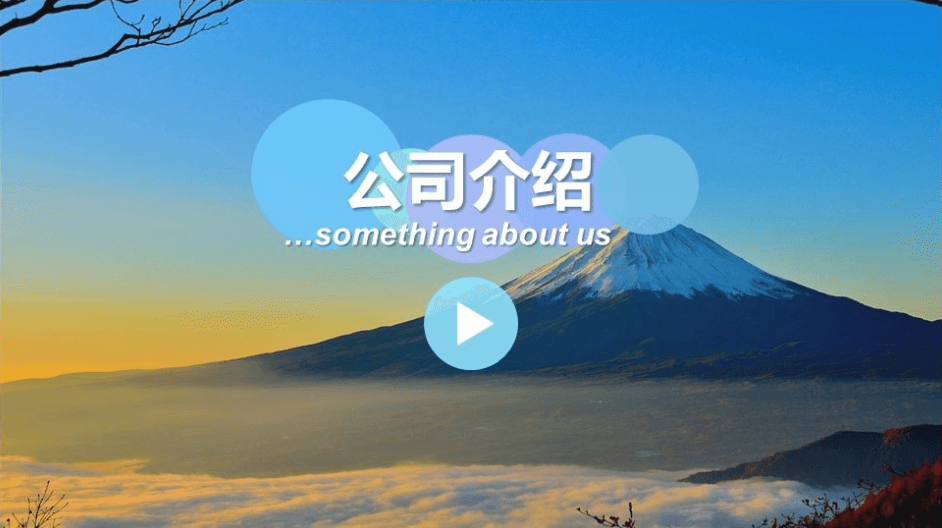精美公司介绍幻灯片模板