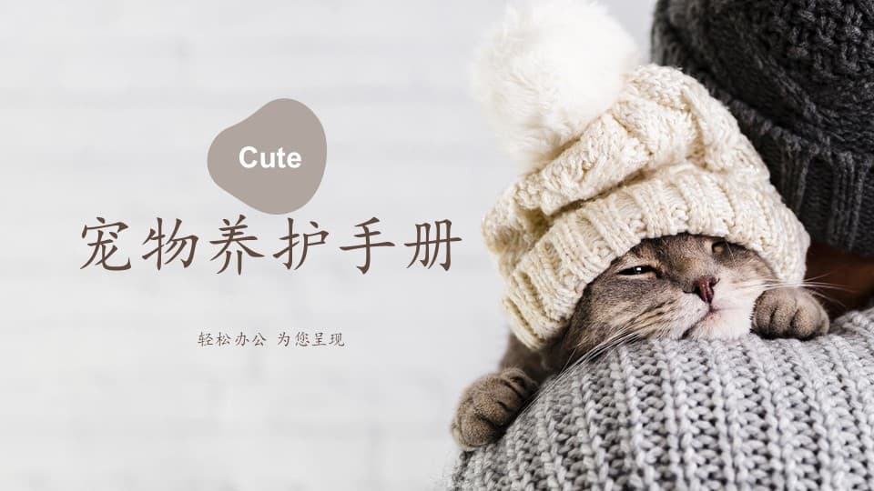 简约时尚大气宠物猫咪通用PPT模板