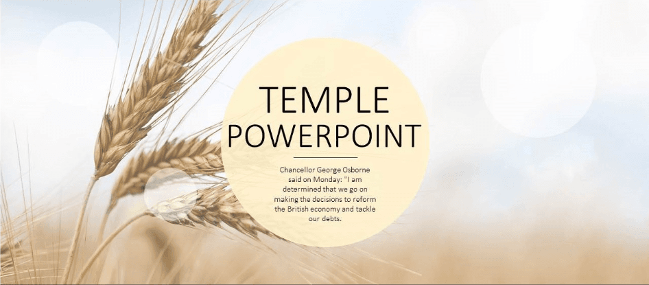 麦穗主题欧美风公司年终工作总结PPT模板